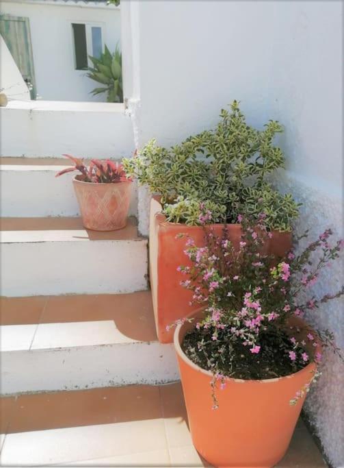 Cozy Apartment With Private Courtyard Barcarena Exterior foto